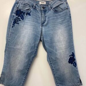 Sonoma Women's Blue Embroidered Jeans